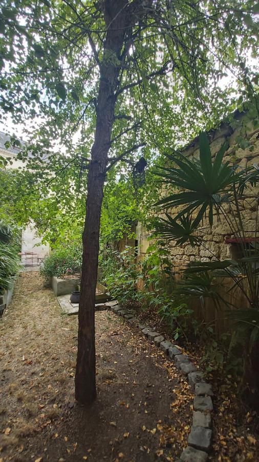 La Maison De Louise Chinon #Chateaux #Vignobles Экстерьер фото