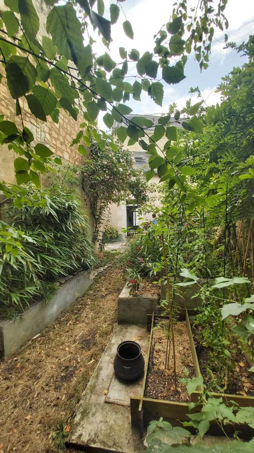La Maison De Louise Chinon #Chateaux #Vignobles Экстерьер фото
